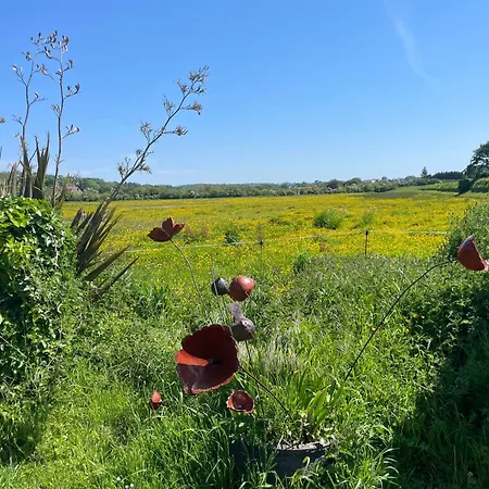 Twin Casquets Dans Maison, Ideale Randonneurs Et Cyclistes - Gr223 Bed & Breakfast Barneville-Carteret