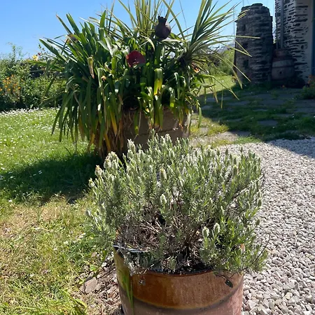 Twin Casquets Dans Maison, Ideale Randonneurs Et Cyclistes - Gr223 Bed & Breakfast