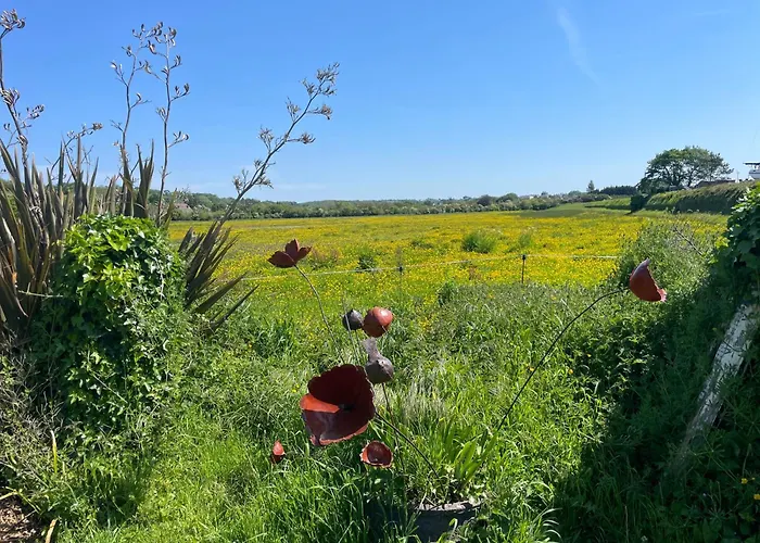 Twin Casquets Dans Maison, Ideale Randonneurs Et Cyclistes - Gr223 ベッド・アンド・ブレックファスト バルヌヴィル・カルトゥレ
