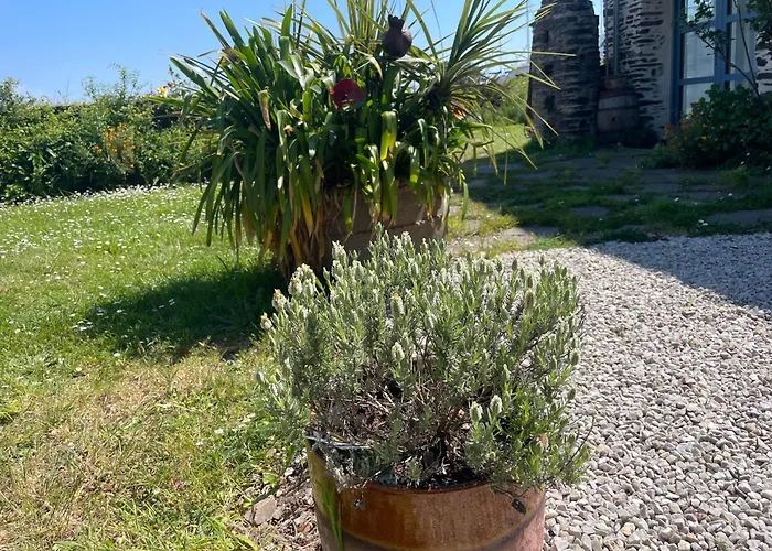 Twin Casquets Dans Maison, Ideale Randonneurs Et Cyclistes - Gr223 ベッド・アンド・ブレックファスト